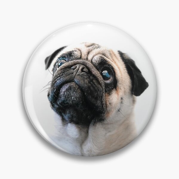 Item preview, Pug Love designed and sold by phillymag.