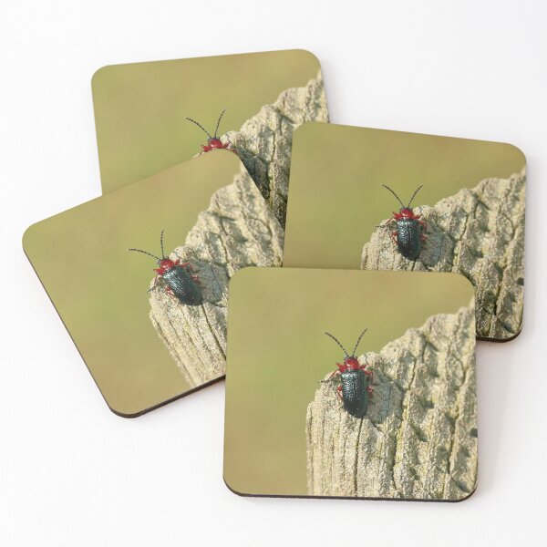 Item preview, Red-necked corn beetle designed and sold by NW-Photo-Art.