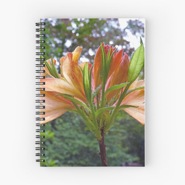 Item preview, Rhododendron in Orange designed and sold by Robert Gipson.