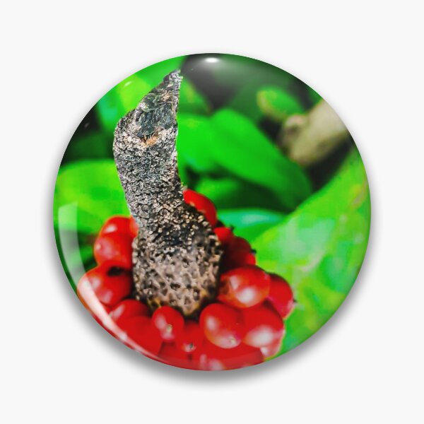Item preview, Red peppercorn with bird beak designed and sold by kall3bu.