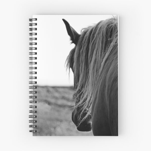 Artikelvorschau, Cheval au Mémorial entworfen und verkauft von Jean-Luc Rollier.