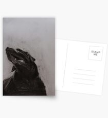 Black and white drawing, Labrador Retriever Postkarten