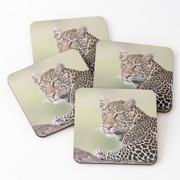 Item preview, Leopard Portrait designed and sold by Richard Garvey-Williams.
