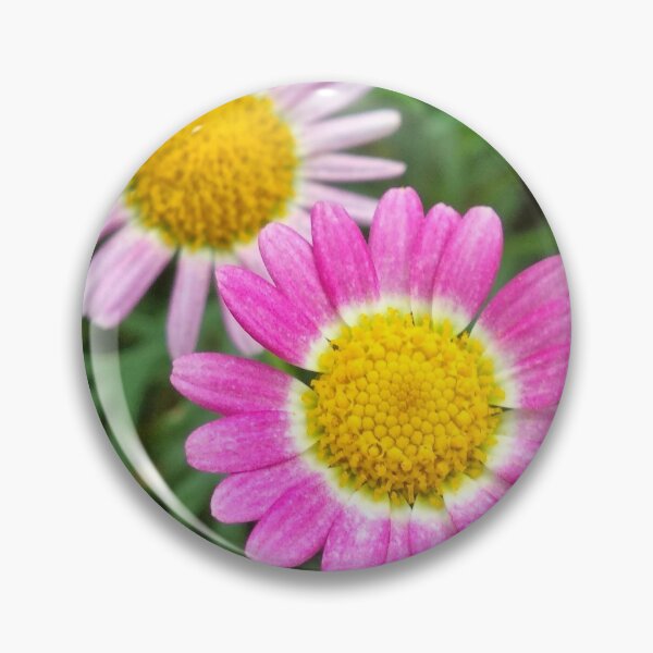 Item preview, Pink and White Daisy Flower designed and sold by apiz2k8.