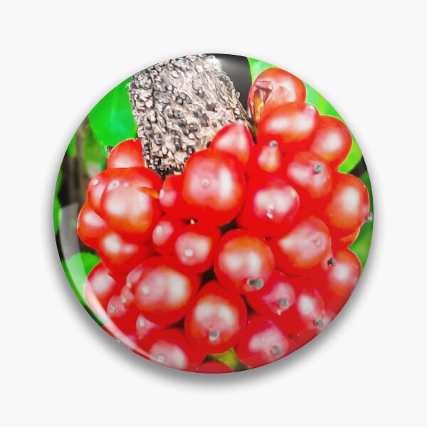 Item preview, Red peppercorn with bird beak designed and sold by kall3bu.