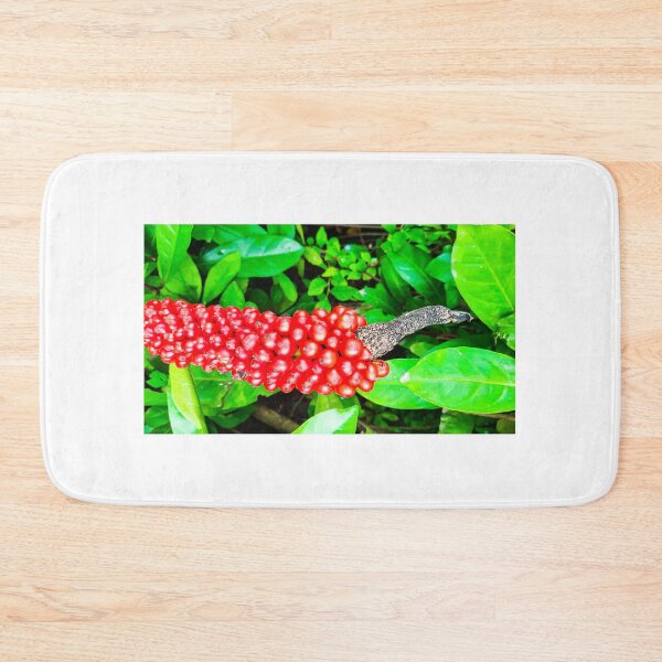 Item preview, Red peppercorn with bird beak designed and sold by kall3bu.