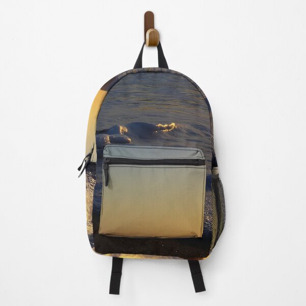 Item preview, Reflecting Sunset designed and sold by NunoPires.