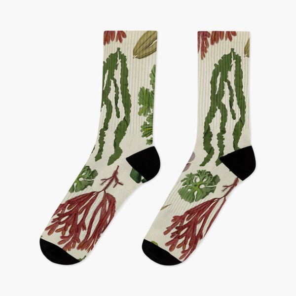 Item preview, Seaweeds Chart, Algae designed and sold by LeAllureVintage.
