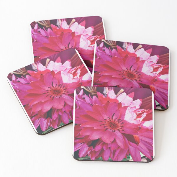 Item preview, Pretty Pink Lotus designed and sold by Aditi Joshi.