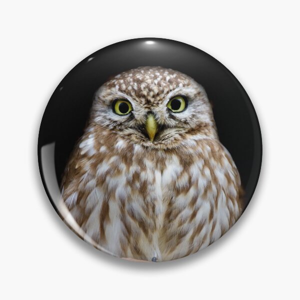 Item preview, The Dark Side Of The Little Owl designed and sold by LaGalleria-BNS by Moses Benson Gallery.