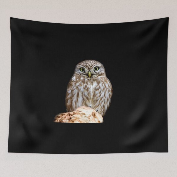Item preview, The Dark Side Of The Little Owl designed and sold by LaGalleria-BNS by Moses Benson Gallery.