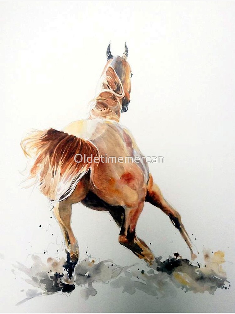 "Arabian Horse Take Off" Poster for Sale by Oldetimemercan Redbubble