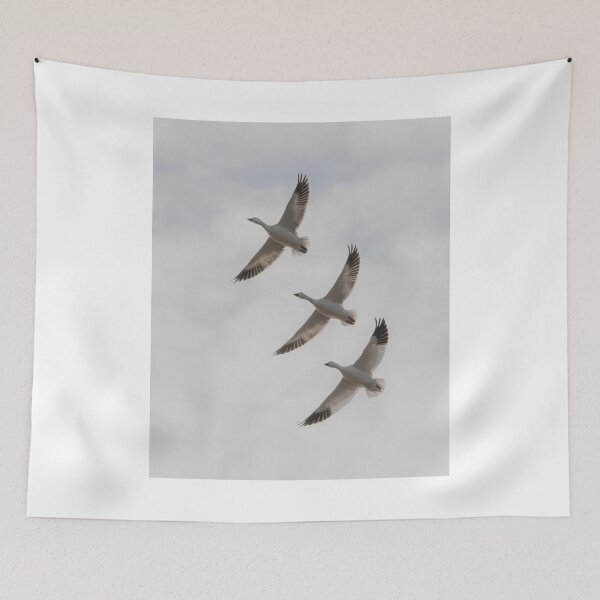 Item preview, Snow Geese in Flight designed and sold by James Cumming.