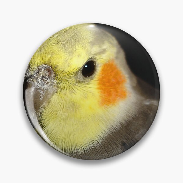 Item preview, Cockatiel Portrait designed and sold by NunoPires.