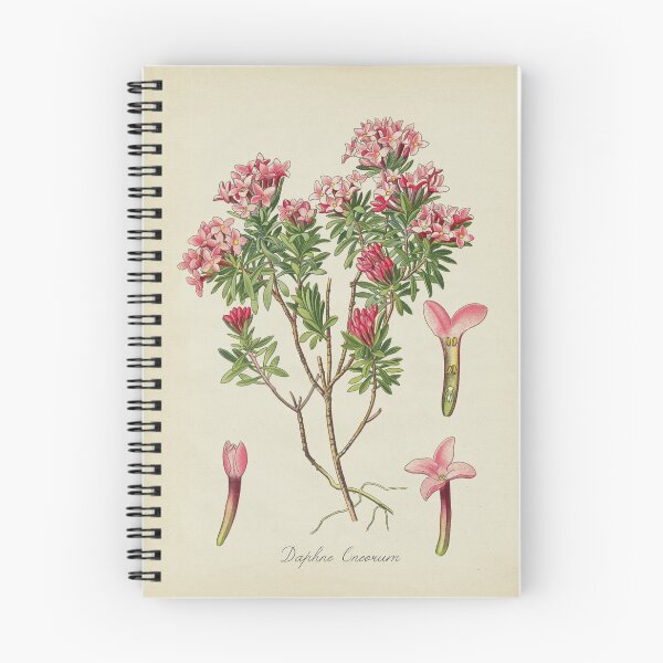 Item preview, Pink Flowers, Daphne designed and sold by LeAllureVintage.