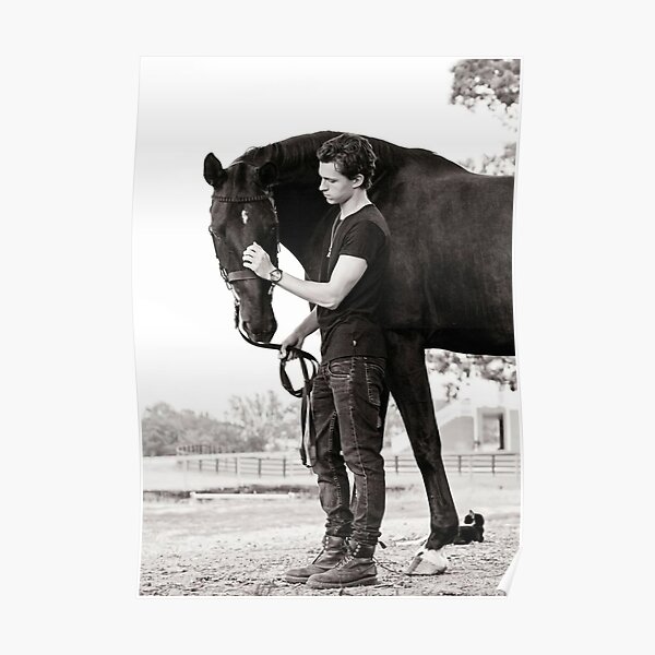 Tom Holland Dark Horse Poster