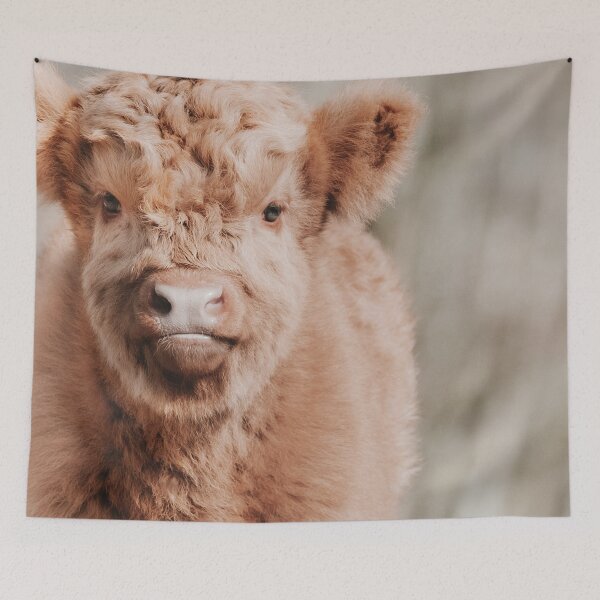 Item preview, Scottish Highland Cow Baby Calf designed and sold by Melissa Peltenburg.