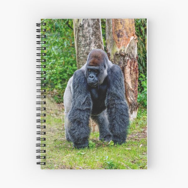 Item preview, Handsome Gorilla In The Jungle designed and sold by mljdwhite.