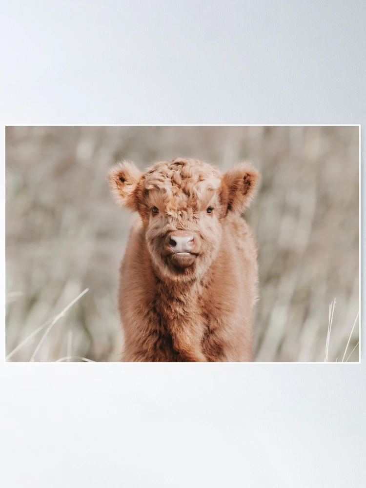 Kid's Highland Cow Costume