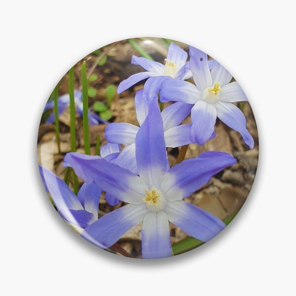 Item preview, Beautiful Flower Photography designed and sold by s10-Photography.