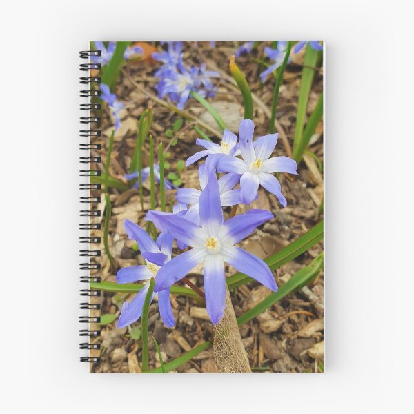 Item preview, Beautiful Flower Photography designed and sold by s10-Photography.