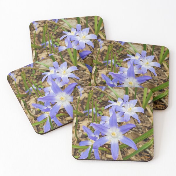 Item preview, Beautiful Flower Photography designed and sold by s10-Photography.