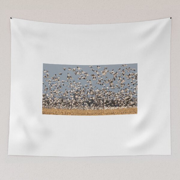 Item preview, Snow Geese in Flight designed and sold by James Cumming.