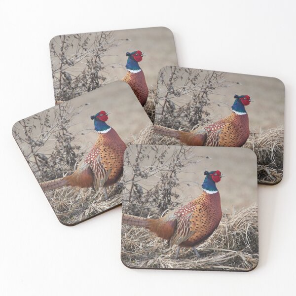 Item preview, The King of the Hill. Pheasant designed and sold by Jouko Lehto Photography.