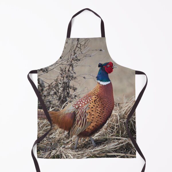 Item preview, The King of the Hill. Pheasant designed and sold by Jouko Lehto Photography.