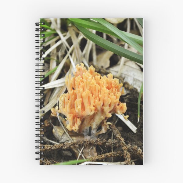 Item preview, Clavaria #2 designed and sold by Krutbur.