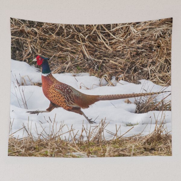 Item preview, On the run. Pheasant designed and sold by Jouko Lehto Photography.