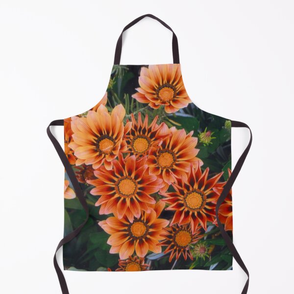 Item preview, Gazanias in Canberra Photograph designed and sold by Heatherian.
