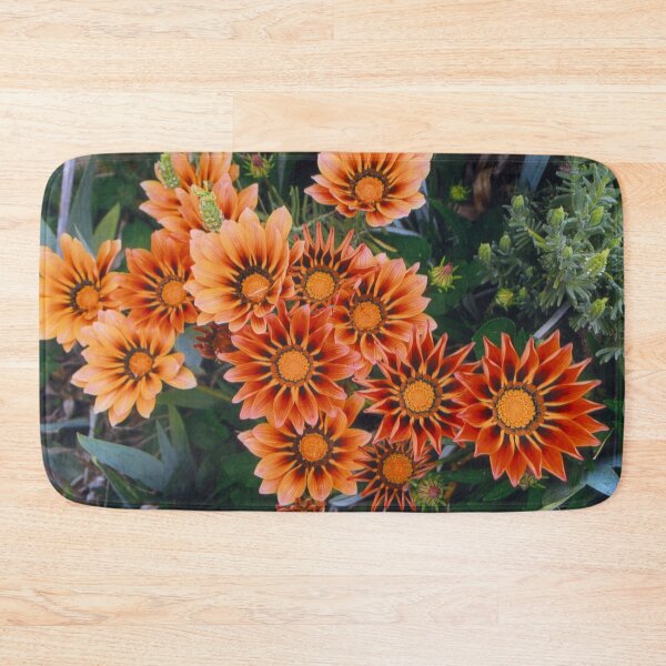 Item preview, Gazanias in Canberra Photograph designed and sold by Heatherian.