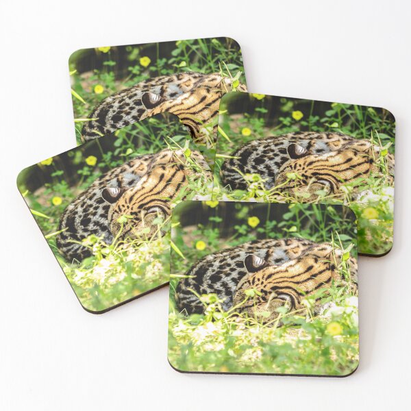 Item preview, Please dont disturb me! designed and sold by Dalyndigital Photography.