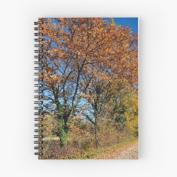 Item preview, Autumn Landscape Near Cividale, Italy  designed and sold by jojobob.