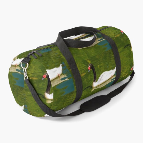 Item preview, Black-necked Swan  designed and sold by Dalyndigital Photography.