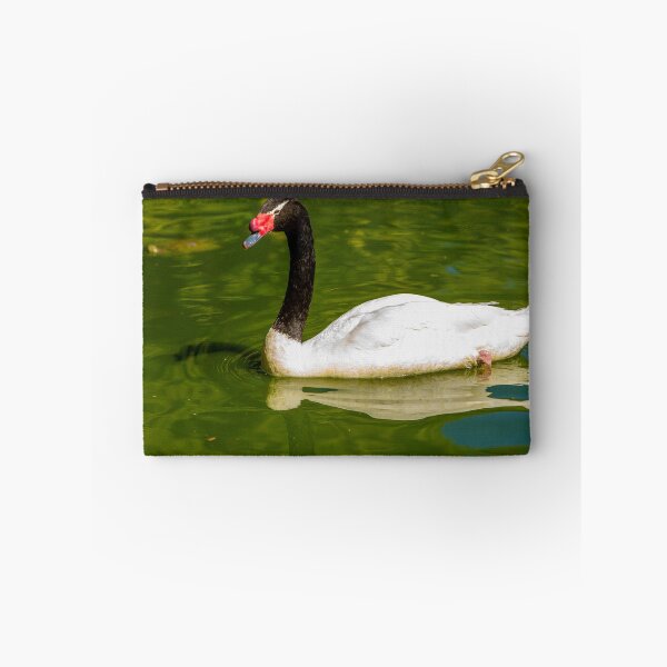 Item preview, Black-necked Swan  designed and sold by Dalyndigital Photography.