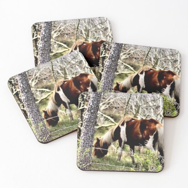 Item preview, Assateague Loner designed and sold by CelticMutt.