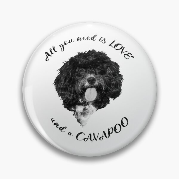 Item preview, All you need is Love and a Cavapoo, black text designed and sold by Jane Stanley Photography.