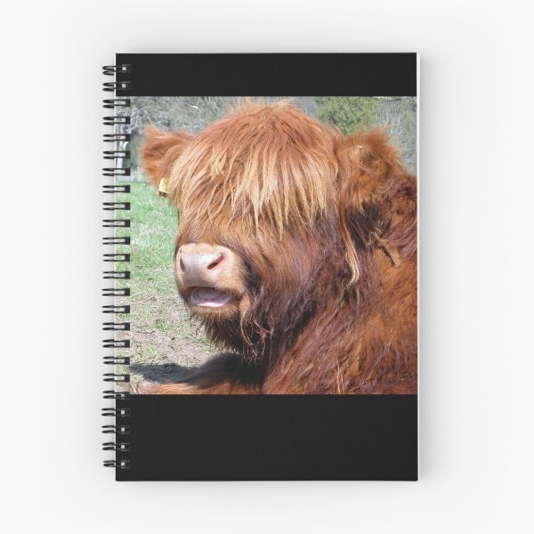 Item preview, Wee Hieland coo beastie designed and sold by irenicrhonda.