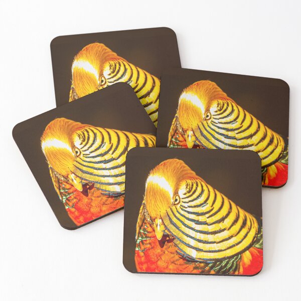 Item preview, Gorgeous Golden Pheasant  designed and sold by Dalyndigital Photography.