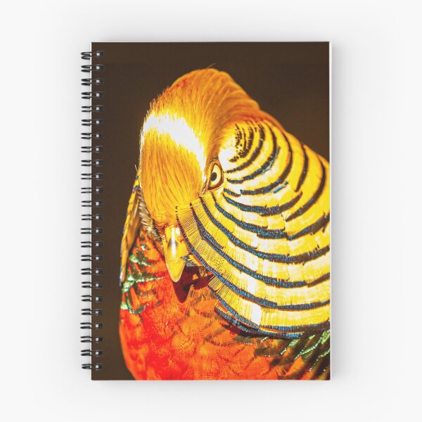 Item preview, Gorgeous Golden Pheasant  designed and sold by Dalyndigital Photography.