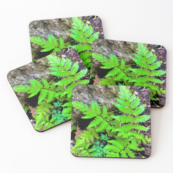 Item preview, Fern garden 1 designed and sold by Bossmommy84.