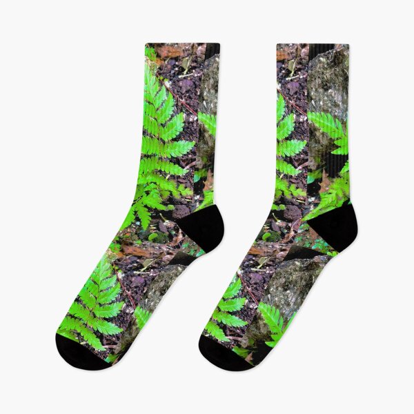 Item preview, Fern garden 1 designed and sold by Bossmommy84.