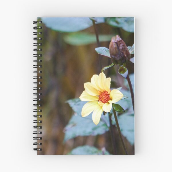 Item preview, Bud and Bloom designed and sold by Kristin Osani.