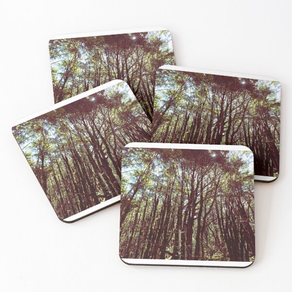 Item preview, Dark Moody Forest designed and sold by jwhizza.