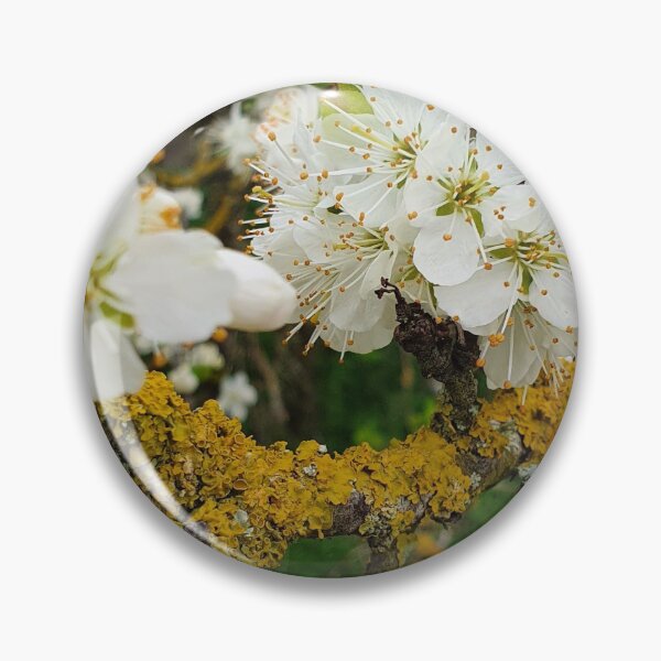 Item preview, Blossom in Spring Photography designed and sold by s10-Photography.