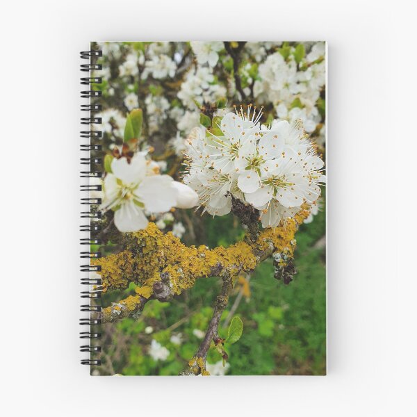Item preview, Blossom in Spring Photography designed and sold by s10-Photography.