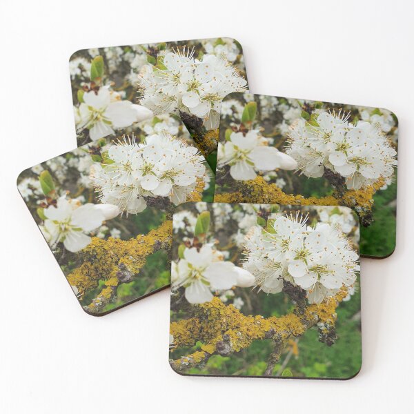 Item preview, Blossom in Spring Photography designed and sold by s10-Photography.