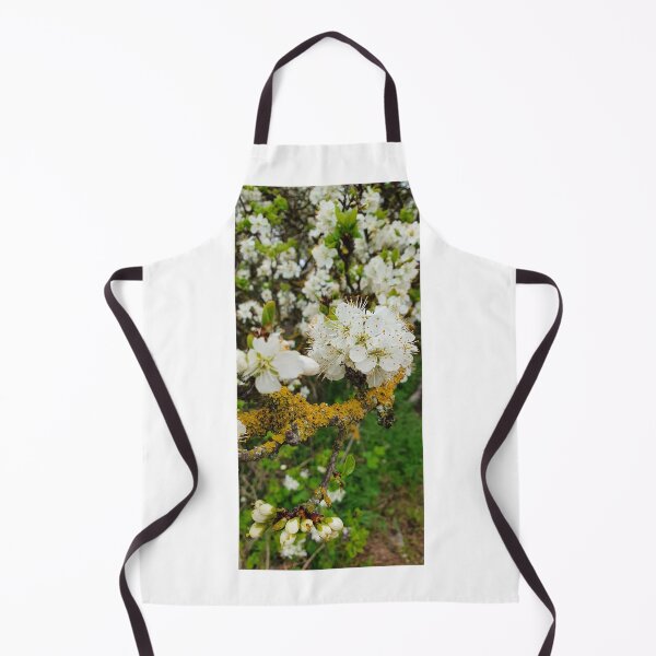 Item preview, Blossom in Spring Photography designed and sold by s10-Photography.